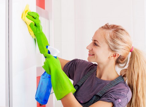 Domestic cleaner working in a Belsizepark home