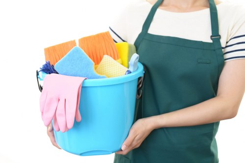 Kitchen and living area domestic cleaning in Belsizepark