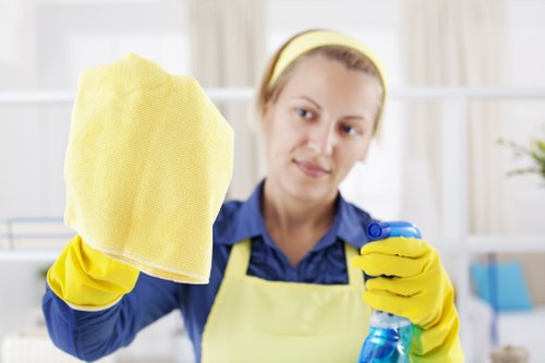 Professional hard floor cleaning for Belsizepark homes and flats
