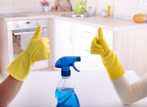 Professional move out cleaning in a Belsizepark apartment kitchen
