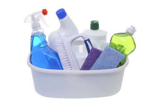 Detailed bathroom cleaning in a Belsizepark flat