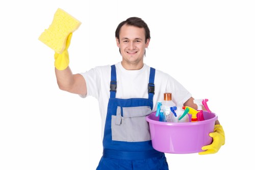 Pet stain odour removal service for carpets and soft furnishings in Belsizepark