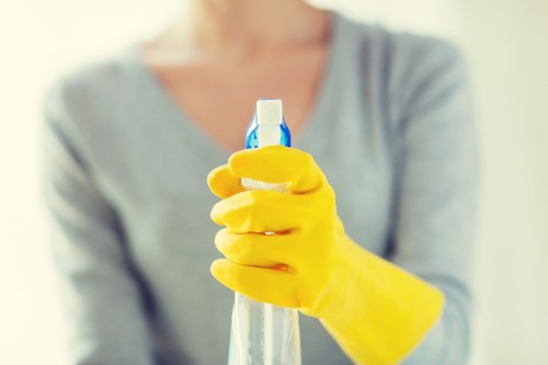 Deep cleaning service for a Belsizepark property with detailed kitchen and living area care