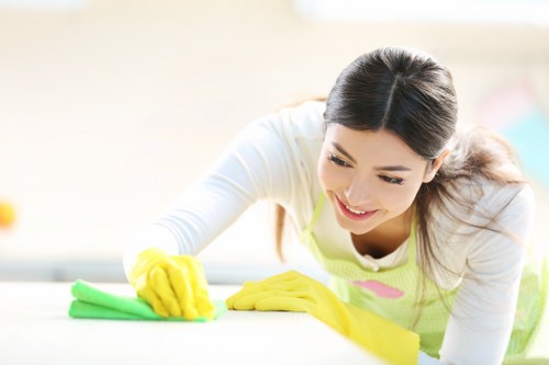 Professional domestic cleaner working in Belsizepark