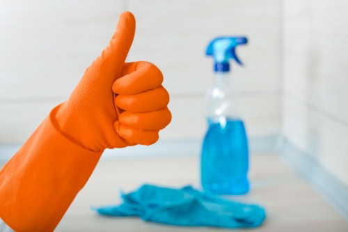 Professional cleaner washing upper-floor windows in Belsize Park