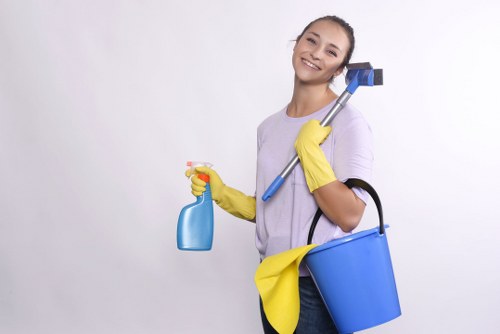 Sofa upholstery cleaning service for homes and businesses in Belsizepark
