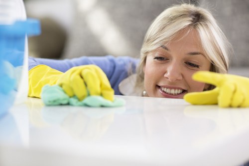Deep cleaning equipment used on upholstered furniture in a local flat