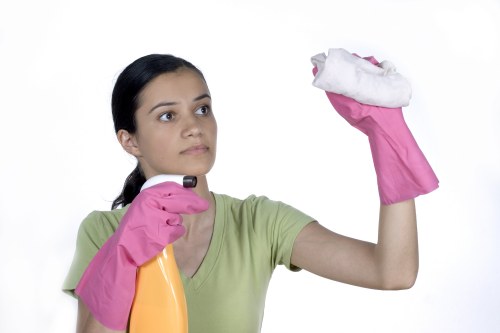 Professional carpet cleaning in a Belsize Park home interior