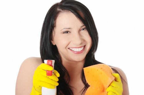 Regular domestic cleaning service for a Belsizepark property