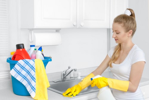 Steam carpet cleaning for a flat or office in Belsize Park