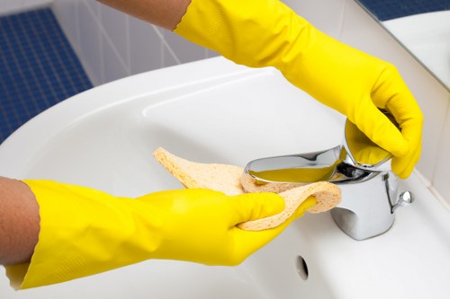 Deep cleaning equipment for pet stain and smell removal in Belsizepark