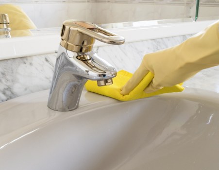 Reviewing a carpet cleaning issue with service notes and property details