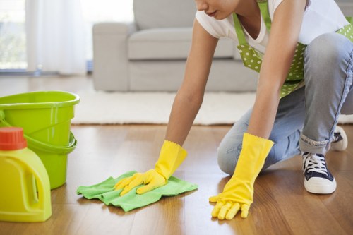 Careful rug cleaning process for Belsizepark properties